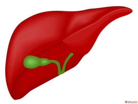 Best Pancreatic Surgeon in Ahmedabad - Dr. Vishal Soni Expert Safe Surgical Care