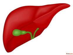 Best Pancreatic Surgeon in Ahmedabad - Dr. Vishal Soni Exper...