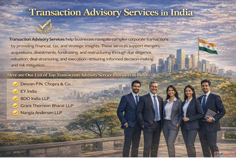 What is Transaction Advisory Services