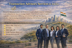What is Transaction Advisory Services