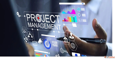 Best SEO Company in Ahmedabad for Business Growth