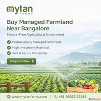 Buy Managed Farmland Near Bangalore - Hassle-Free Agricultur...