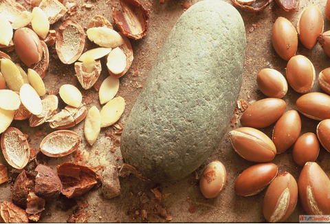 Bulk argan Oil Supplier and manufacturer