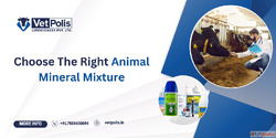 Best Animal Mineral Mixture for Cattle Livestock - Vetpolis