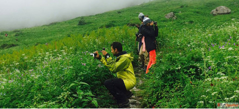 Valley of Flowers Trek Detailed Itinerary