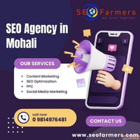 SEO Farmers - SEO Agency in Mohali