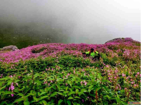 Hampta Pass Trek Detailed Itinerary