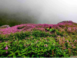 Hampta Pass Trek Detailed Itinerary