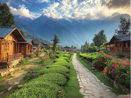 Best Palampur Travel Planner 2025 - Attractions Itinerary Ideas