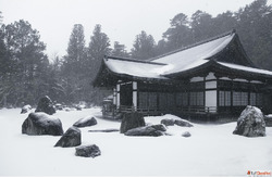 Japan Tour Packages Leave Room For Small Moments