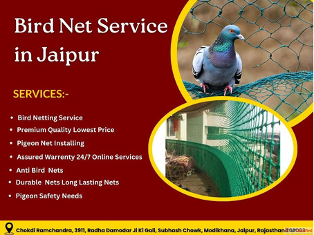 Affordable Bird Net Service in Jaipur at Low Cost Today Now