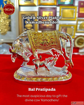 Best Gift Shop in Nagpur for Quality Variety