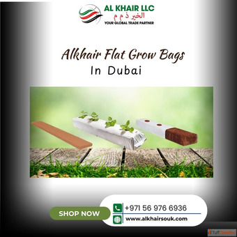 High Quality Flat Grow Bags Exporter from India to UAE