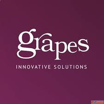 Healthcare IT Solutions for Hospitals Clinics - Grapes Innovative Solutions