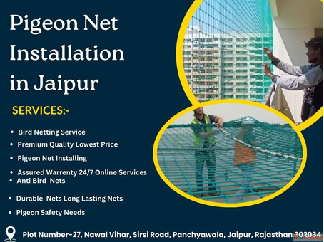 Pigeon Net Installation in Jaipur Affordable Rates Call Now