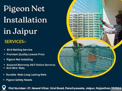 Pigeon Net Installation in Jaipur Affordable Rates Call Now