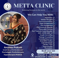 Counsellor in Kharghar Metta Therapy Wellness Clinic