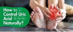 Homeopathy Treatment For Uric Acid