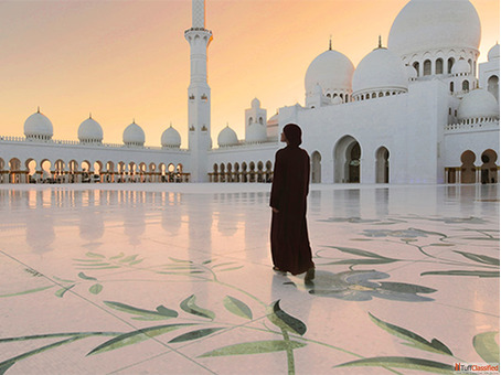 Abu Dhabi Mosque Tour - Guided Sheikh Zayed Grand Mosque Experience