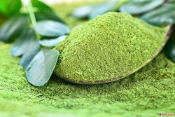 Moringa Powder Suppliers in Sangli
