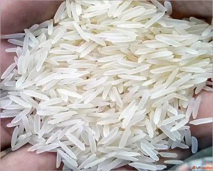 Basmati Rice Suppliers in Jaipur