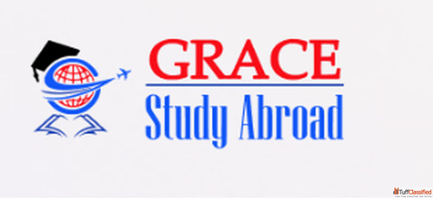 Plan Your Study Abroad Journey with Experts