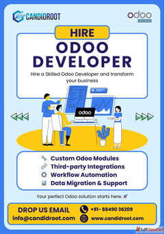 Are You Looking to Hire Experienced Odoo Developers