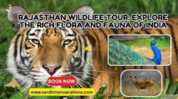 Embark on an Adventure with our Rajasthan Wildlife Tour Expe...