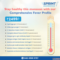 Comprehensive Fever Profile in Hyderabad - Accurate Diagnost...