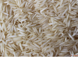 Export Quality Creamy Basmati Rice for Wholesale
