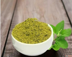 Tulsi Powder Suppliers in Maharashtra