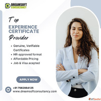 Experience Certificates Provider in Noida