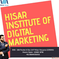 Webmok - Digital Marketing Course in Hisar Haryana
