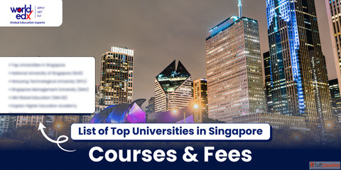 Best Universities in Singapore for International Students