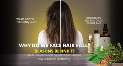 Fenugreek Hair Oil Hair Tonic Hair Growth Serum for Strong H...