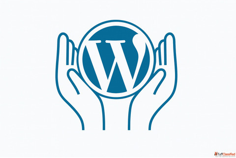 WordPress Footer A Complete SEO Guide to Designing a Powerful Website Footer