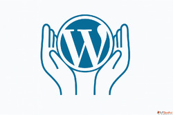 WordPress Footer A Complete SEO Guide to Designing a Powerfu...