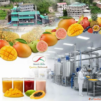 Reliable Fruit Pulp Manufacturer for International Food Indu...