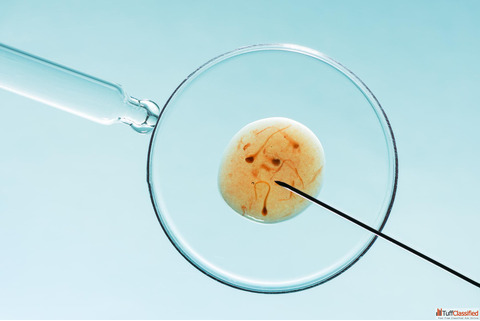 Best ICSI Clinic in Noida - Ram Prakash Embryologist