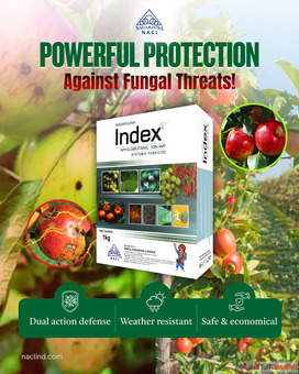 Best Fungicides for Agriculture Reliable Crop Protection Index