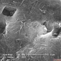 Reliable Attapulgite Manufacturer Exporter