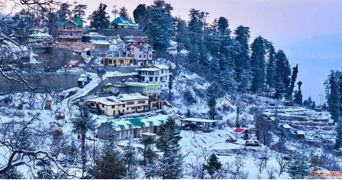 All Himachal Shimla Hills 2 Nights 3 Days