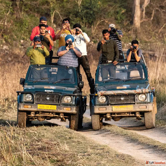 Corbett National Park The Real Jungle Safari Adventure 2026 Guide