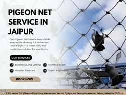 Durable Pigeon Net Service in Jaipur at Low Cost