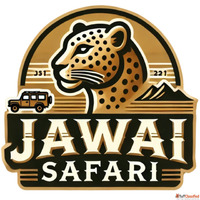 Best leopard safari