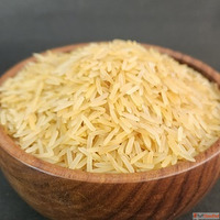 1509 Basmati Rice Suppliers in Punjab