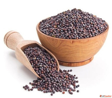 Mustard Seeds Suppliers in Rajasthan