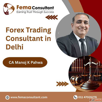 Forex Trading Consultant in Delhi - Strategic Forex Compliance Support
