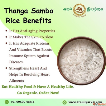 Buy Organic Thanga Samba Online in Chennai