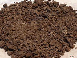 Cow Dung Powder Suppliers in Telangana